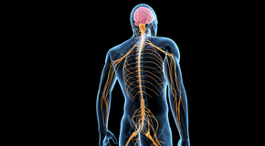 Oxford chiropractic  and spinal manipulation benefits for back and neck pain