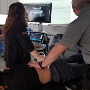 image Oxford chiropractic ultrasound imaging of spinal vertebrae during treatment