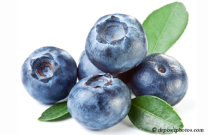 Oxford chiropractic and nutritious blueberries